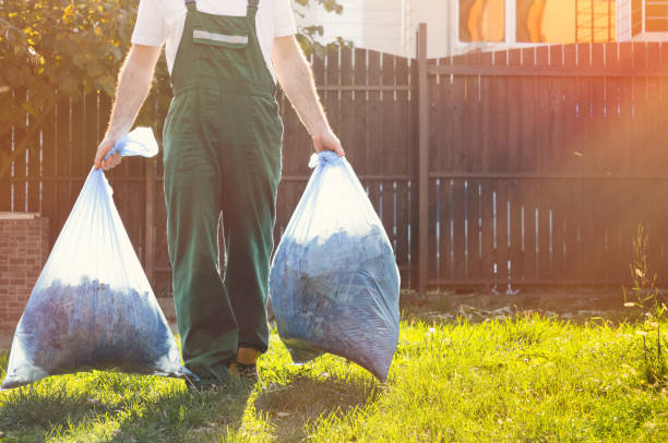 Best Shed Removal  in Chapel Hill, TN