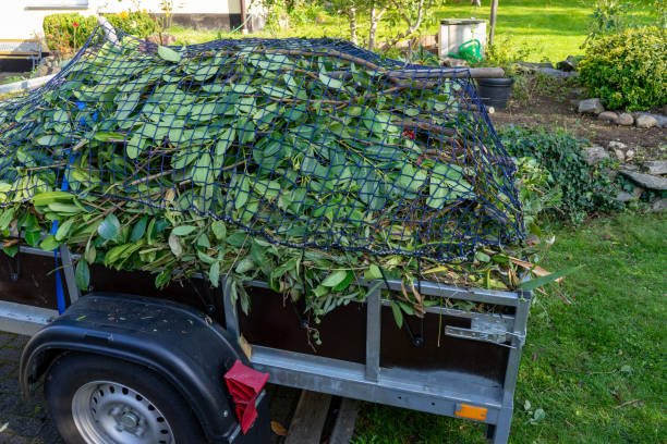 Best Retail Junk Removal  in Chapel Hill, TN